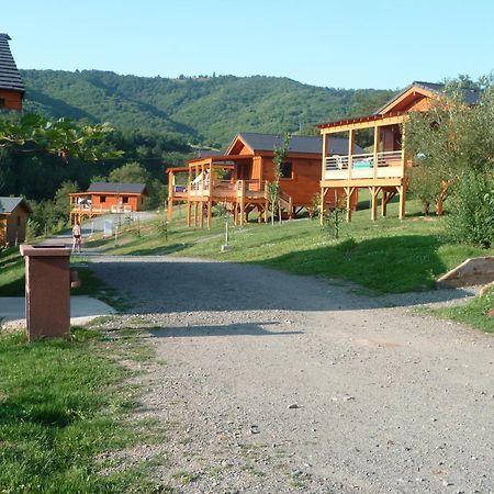 La Ferme Du Duzou Villa Saint-Cyprien-sur-Dourdou Eksteriør billede