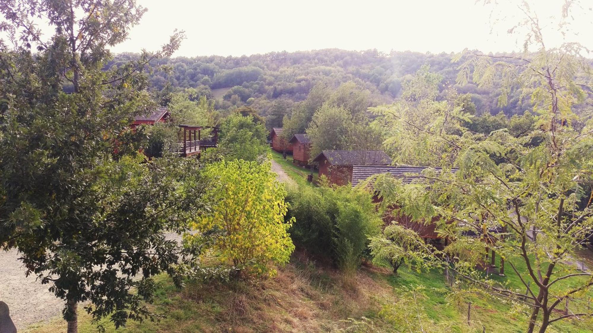 La Ferme Du Duzou Villa Saint-Cyprien-sur-Dourdou Eksteriør billede