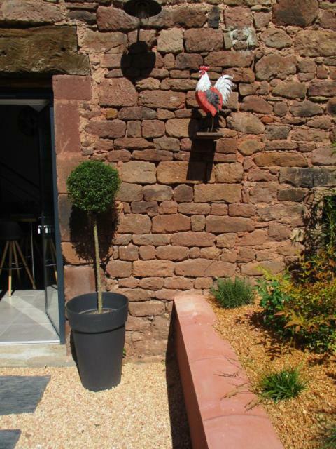 La Ferme Du Duzou Villa Saint-Cyprien-sur-Dourdou Eksteriør billede
